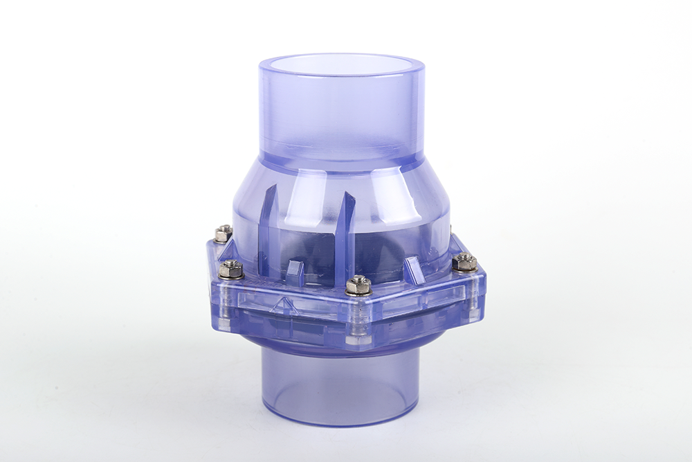 干驿镇透明翻板式止回阀